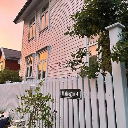 Exclusive 1920 Century 10 Min From Airport Villa